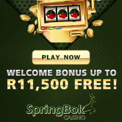 Claim up to R11,500 in casino bonuses at Springbok Online Casino